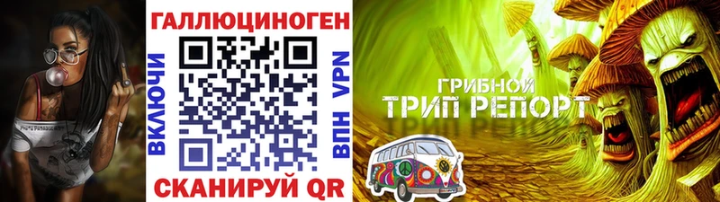 как найти   omg маркетплейс  Галлюциногенные грибы Psilocybe  Певек 